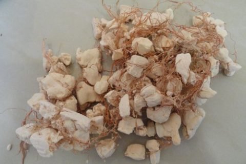 processing baobab