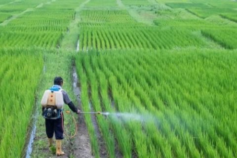 filtering pesticide